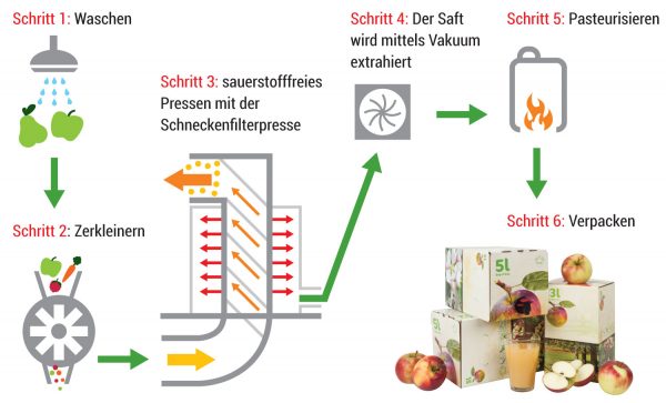 Die Schneckenfilterpresse kann bis zu 1.200 kg Obst pro Stunde verarbeiten.